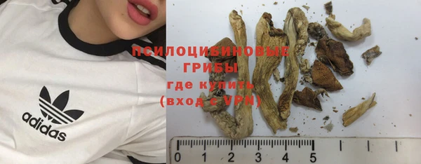 альфа пвп Няндома