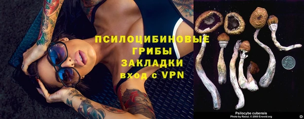 альфа пвп Няндома
