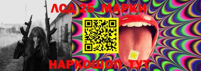 гашик Берёзовский