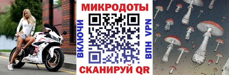 как найти Белореченск Галлюциногенные грибы мицелий