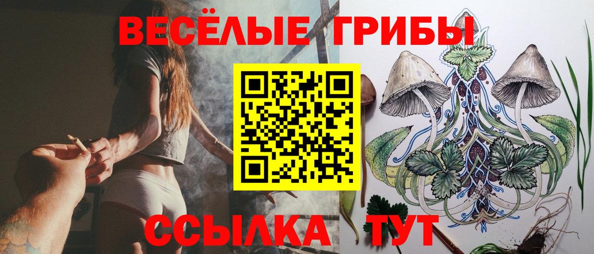 Псилоцибиновые грибы мицелий  Белореченск 