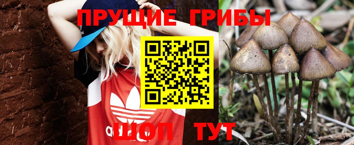 продажа наркотиков  Псилоцибиновые грибы прущие грибы  Псилоцибиновые грибы GOLDEN TEACHER  Вход с VPN  Белореченск 